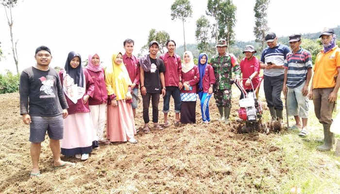 Mahasiswa KKL STISIPM Sinjai Kerja Bakti Perbaiki Lapangan di Kelurahan Balakia