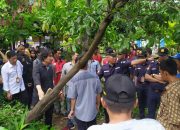 BPCB Sulsel Coba Gusur Penjaga Taman Rotterdam dan Diduga Merusak Tanaman