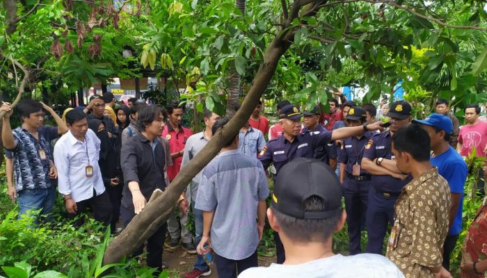 BPCB Sulsel Coba Gusur Penjaga Taman Rotterdam dan Diduga Merusak Tanaman