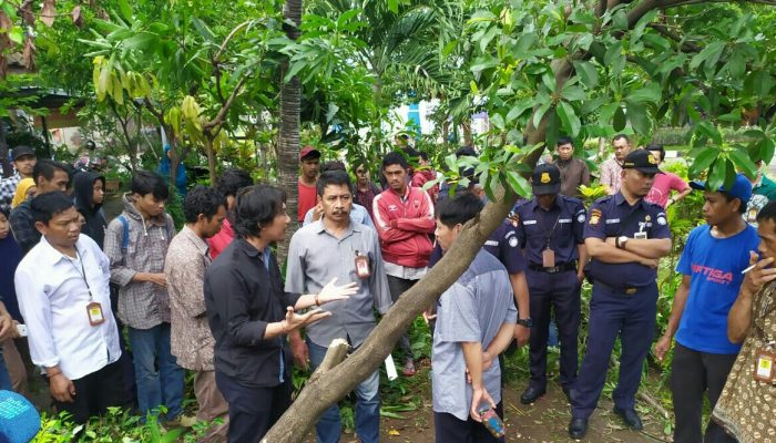 Penjaga Taman Rotterdam Digusur, Kepala BPCB Sulsel: Itu Kerja Bakti