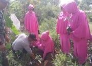 Kapolsek Sinjai Borong Bersama Beberapa Istansi Tanam Ratusan Pohon Pala