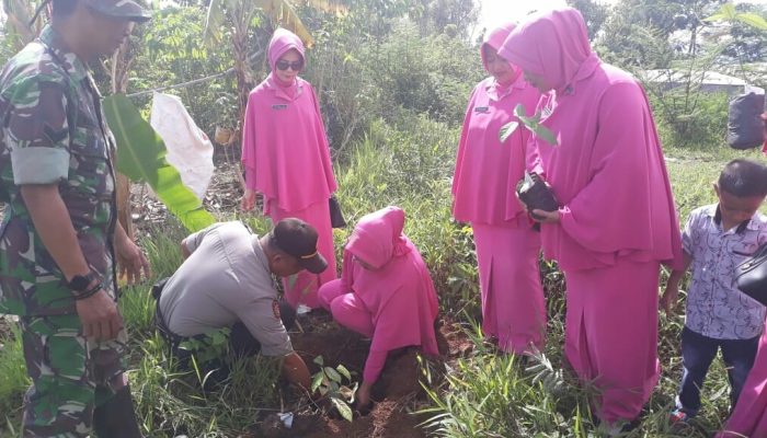 Kapolsek Sinjai Borong Bersama Beberapa Istansi Tanam Ratusan Pohon Pala