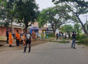 BPBD Bersama Bekang XIV-01 Bone Pangkas Pohon yang Dinilai Membahayakan