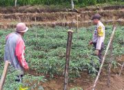 Laksanakan Sambang, Cara Bhabinkamtibmas Desa Biji Nangka Dekat dengan Warga