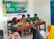 Penyuluhan Pencegahan Virus Corona Jadi Proker Mahasiswa KKN UINAM di Mannanti