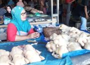 Warga Dilarang Hajatan, Harga Ayam Potong di Kulon Progo Anjlok