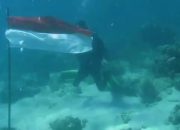 HUT RI ke-75, TRIDC Sinjai Kibarkan Bendera Merah Putih di Bawah Laut