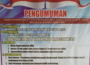 Dibuka Pendaftaran Calon Perangkat Desa Pulau Harapan Sinjai, Ini Jadwalnya