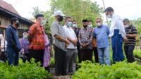 Gubernur Sulsel Ingin Kembalikan Kejayaan Murbei di Soppeng