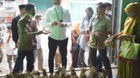 Bupati Dorong Petani di Sinjai Barat Kembangkan Bawang Putih