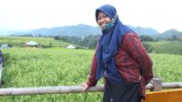 Dari Jurnalis Hingga Menjadi Ajudan Wabup Sinjai