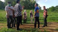 Kementerian Tinjau Lokasi Rencana Pembangunan Sentra Industri Peternakan Sinjai