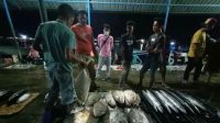Tahun Ini, PAD TPI Lappa Ditargetkan 750 Juta Rupiah
