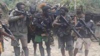 Sadis, KKB Papua Tembak Mati Pelajar