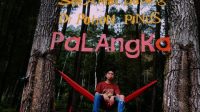 Masyarakat Desa Palangka Sinjai Selatan Buat Taman Wisata Pohon Pinus