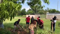 Bantu Masyarakat, PMM Kelompok 52 UMM Malang Adakan Kerja Bakti