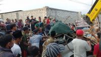 Tabrak Pohon di Pamekasan, Supir Truk Asal Pasuruan Ini Meninggal Dunia