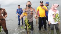 Sambut Hari Bhayangkara Ke-75, Polres Sinjai Tanam Pohon Bakau di Pantai Mallenreng