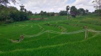 Kadis Tanaman Pangan Sinjai Tidak Pernah Tolak Usulan Kelompok Tani