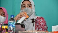 Andi Nurhilda Beri Materi Pentingnya Peran Ibu PKK Dalam Pembangunan Desa di Salohe