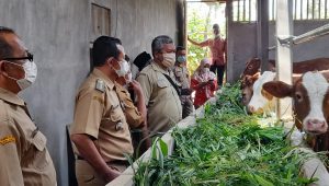 Jalan Usaha Tani dan UPPO Desa Tanjungsari Diserahterimakan