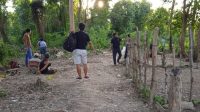 Judi Sabung Ayam, Dua Warga Pakokko Tellulimpoe Sinjai Ditangkap Polisi