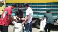 Berkat Bupati ASA, Petani di Sinjai Dapat Bantuan Benih Kacang Tanah 6 Ton