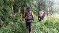 Hilang di Hutan Saat Mecari Kayu Bakar, SAR Brimob Bone Diterjunkan Cari Nenek Suhera