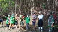 KKN UINAM Tanam 1000 Mangrove di Pesisir Pantai Samataring