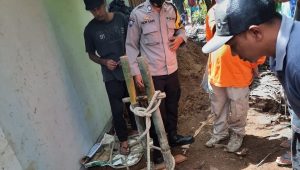 Diduga Hirup Gas Beracun, Dua Penggali Sumur Alami Kejadian Naas