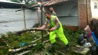 Hujan Lebat di Tegalrejo, Belasan Rumah Tertimpa Pohon Tumbang
