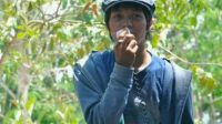 Muscam di Bulupoddo Tidak Diundang, OKP Trikora Sinjai Sentil Ketua KNPI Sinjai
