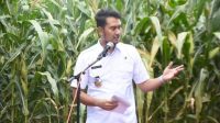 Bentuk Kepedulian Bupati ASA, Dinas TPHP Sinjai Akan Salurkan Bantuan Untuk Kelompok Tani