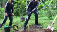 Lestarikan Alam, Polres Magelang Kota Tanam Pohon di Puncak Tidar