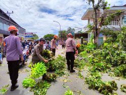 Brimob Bone Tebang Pohon di Sepanjang Jalan M.H. Thamrin, Ada Apa