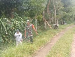 Wujud Kekompakan Babinsa Desa Umpungeng Melaksanakan Gotong Royong di Wilayah Binaannya