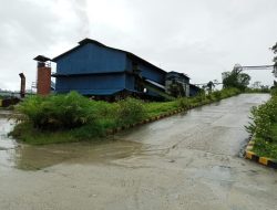 Buah Sawit di Simeulue Mengalami Kekurangan Yang Masuk Ke Pabrik PMKS