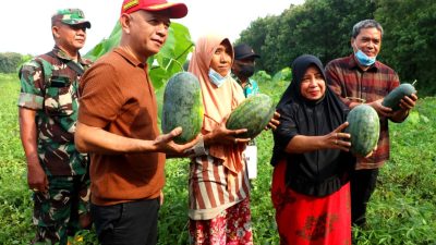 Bupati Jepara Panen Raya Semangka Program Wanatani di Desa Tubanan