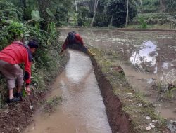 PPA Dinas PU Sinjai Bersama Petani Gotong Royong Bersihkan Saluran Irigasi