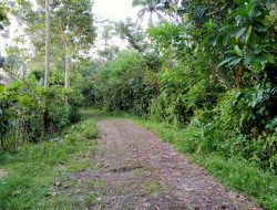 Warga Sinjai Selatan Minta Jalan Pacuan Kuda Sangiasseri ke Sirkuit Gareccing Segera Diperbaiki