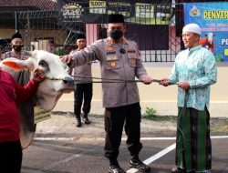 Kapolres Pekalongan Serahkan Hewan Kurban Kepada Takmir Masjid dan Ponpes
