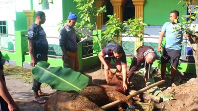 Rayakan Idul Adha 1443 Hijriyah, Yonarmed 11 Kostrad Potong 9 Hewan Kurban
