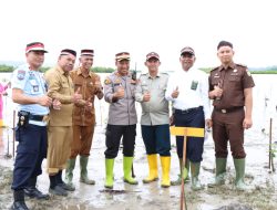 Peringati HUT RI Ke 77, Polres Simeulue Melakukan Penanaman 1.000 Bibit Mangrove