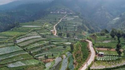 Tol Kahyangan, Nikmati Sensasi Perkebunan Sayuran Lereng Merbabu