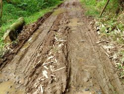 Warga Keluhkan Jalan Songing dan Polewali Sinjai Selatan yang Rusak Parah