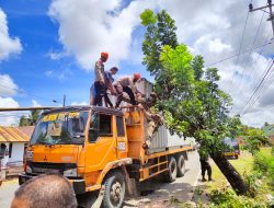 Respon Cepat Tim SAR Brimob Bone Evakuasi Truk Kontainer yang Tertimpa Pohon Tumbang