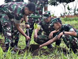 Dukung Program Penghijauan Pangkostrad, Yonarmed 11 Kostrad Tanam 1.000 Pohon