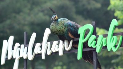 Kabupaten Rembang Bakal Gelar Festival Desa Wisata 2022