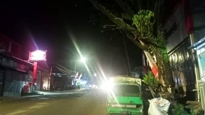 Mobil Rusak Terparkir di Bawah Pohon Mati Dikeluhkan Warga Karena Membahayakan