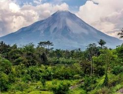 Puluhan Hektare Lahan TNGM Rusak, Ternyata Ini Penyebabnya